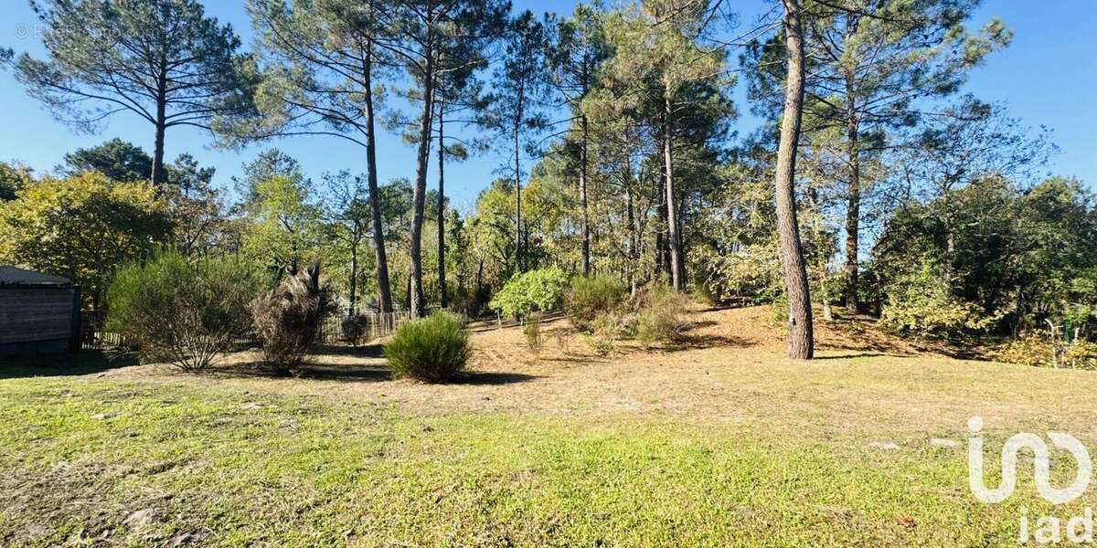 Photo 2 - Maison à LEGE-CAP-FERRET