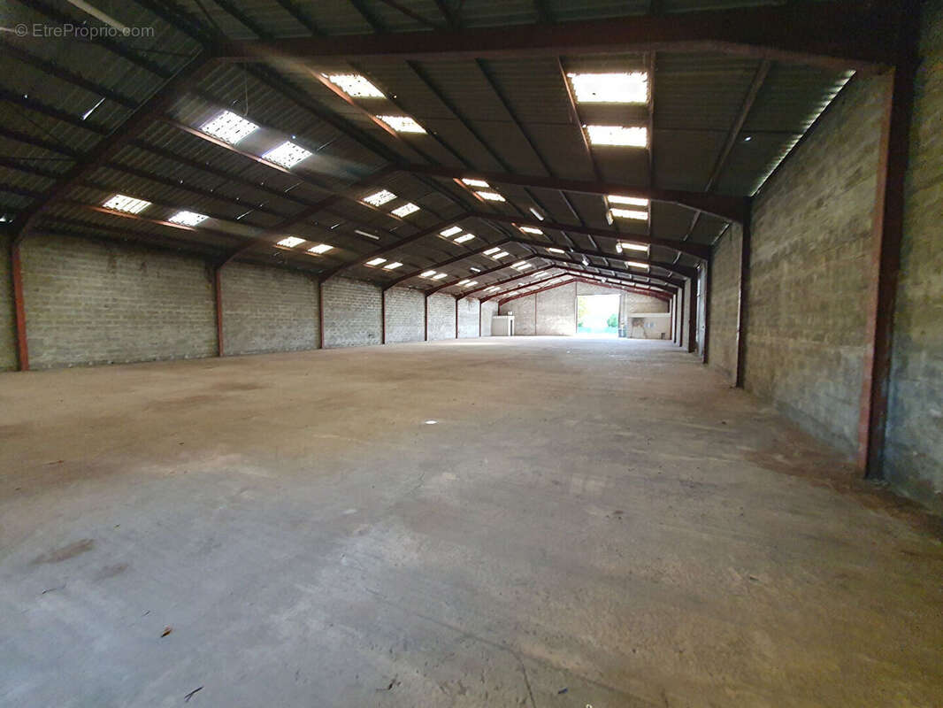 Commerce à AMBARES-ET-LAGRAVE