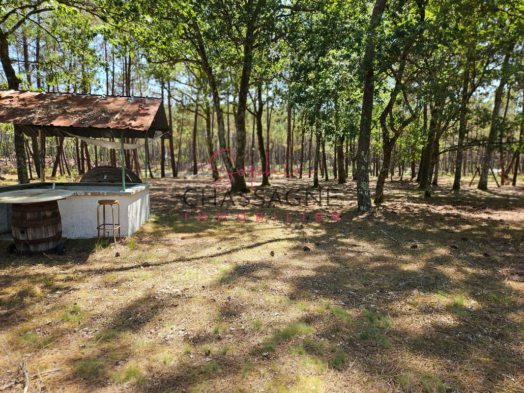 À 30 minutes de Bordeaux et 45 minutes d’Arcachon, domaine avec 2 étangs sur 15 hectares - photo 4