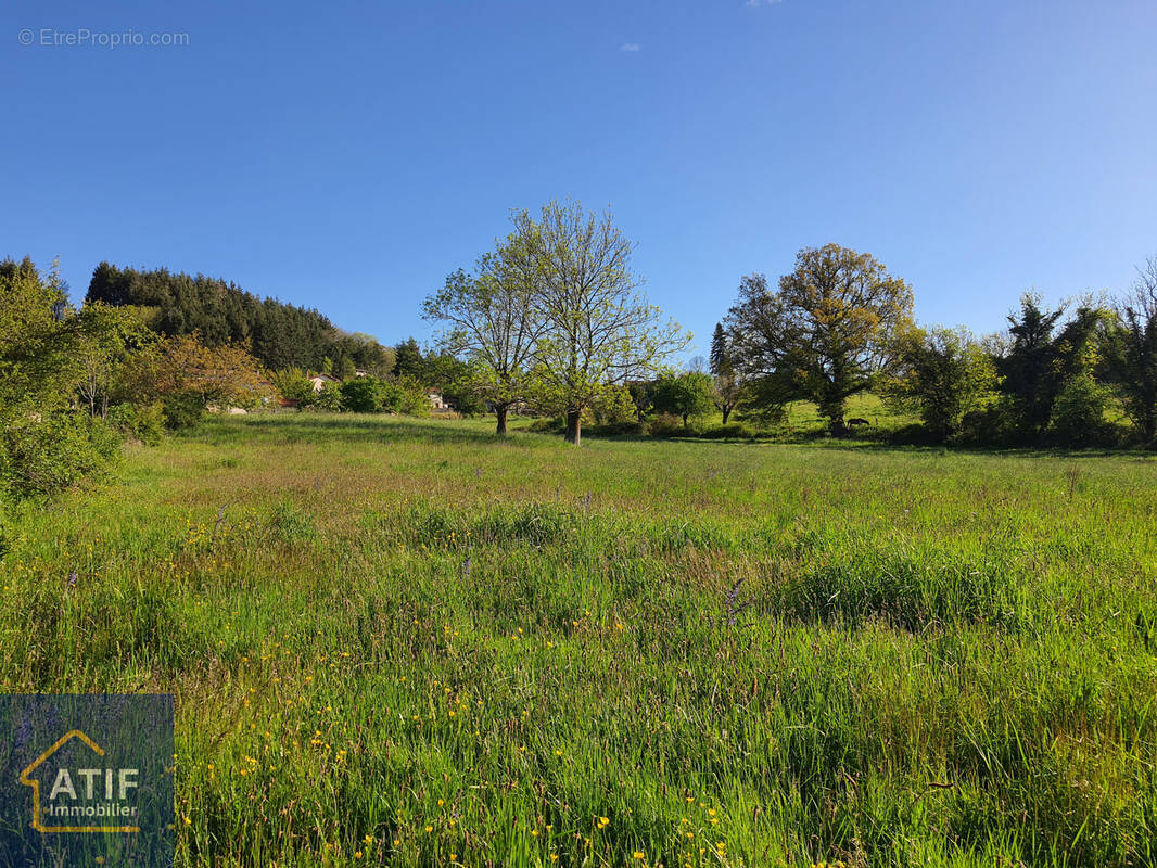 Terrain à CEZAY