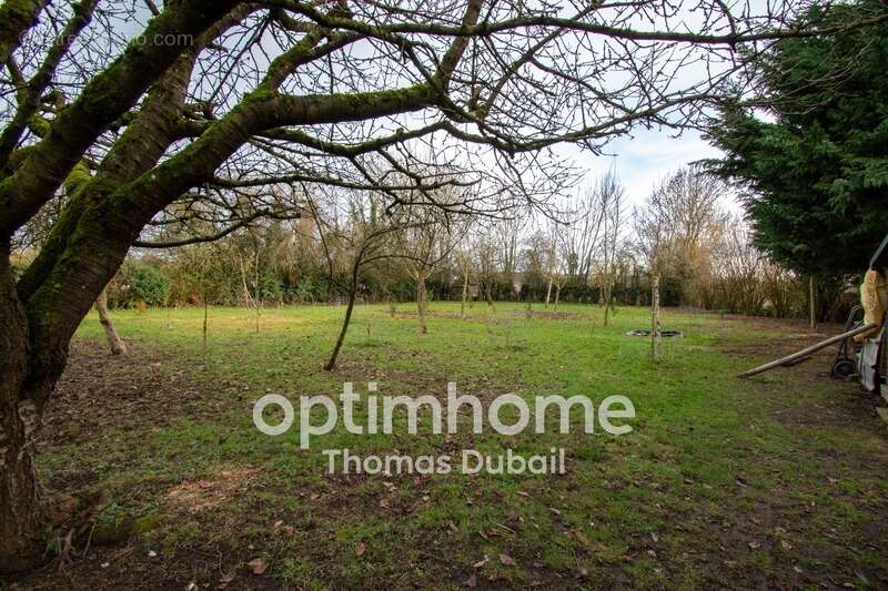 Maison à LANDRECIES