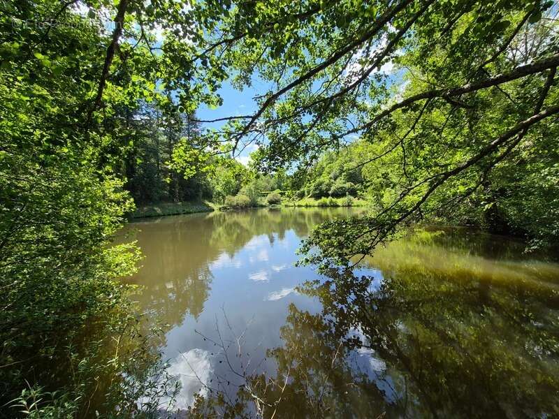 Terrain à PRESSIGNAC