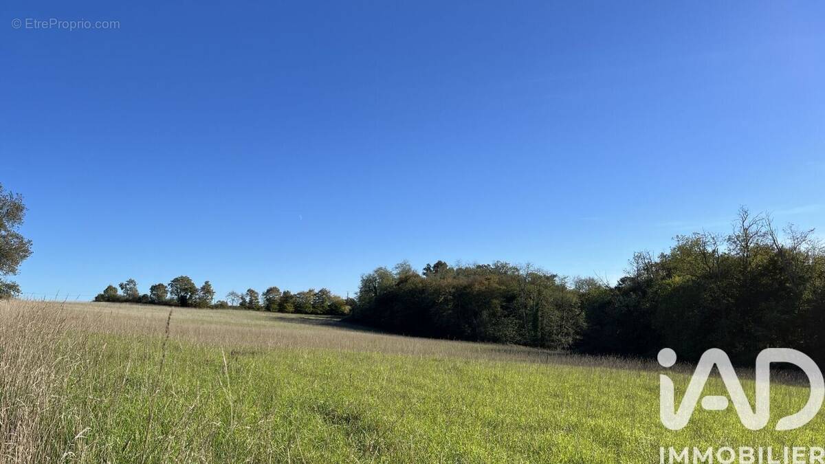 Photo 1 - Terrain à MARGUESTAU