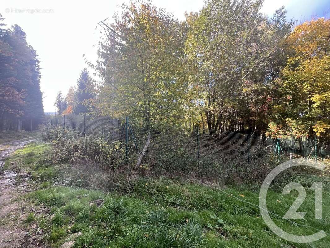 Terrain à BURDIGNES