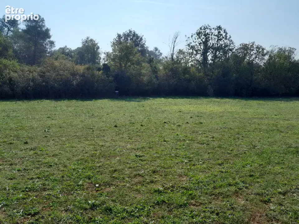 Terrain 3 000 m² à vendre à Saint-Maximin-La-Sainte-Baume (83470) - photo 3