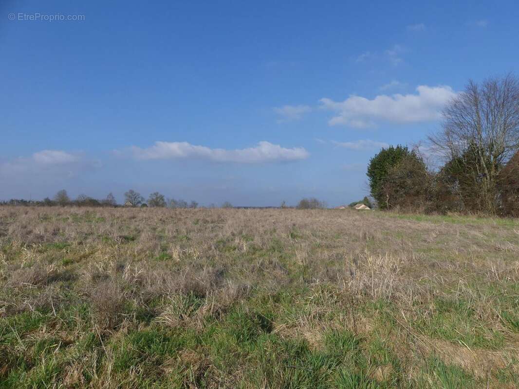 Photo 2 - Terrain à BANTANGES