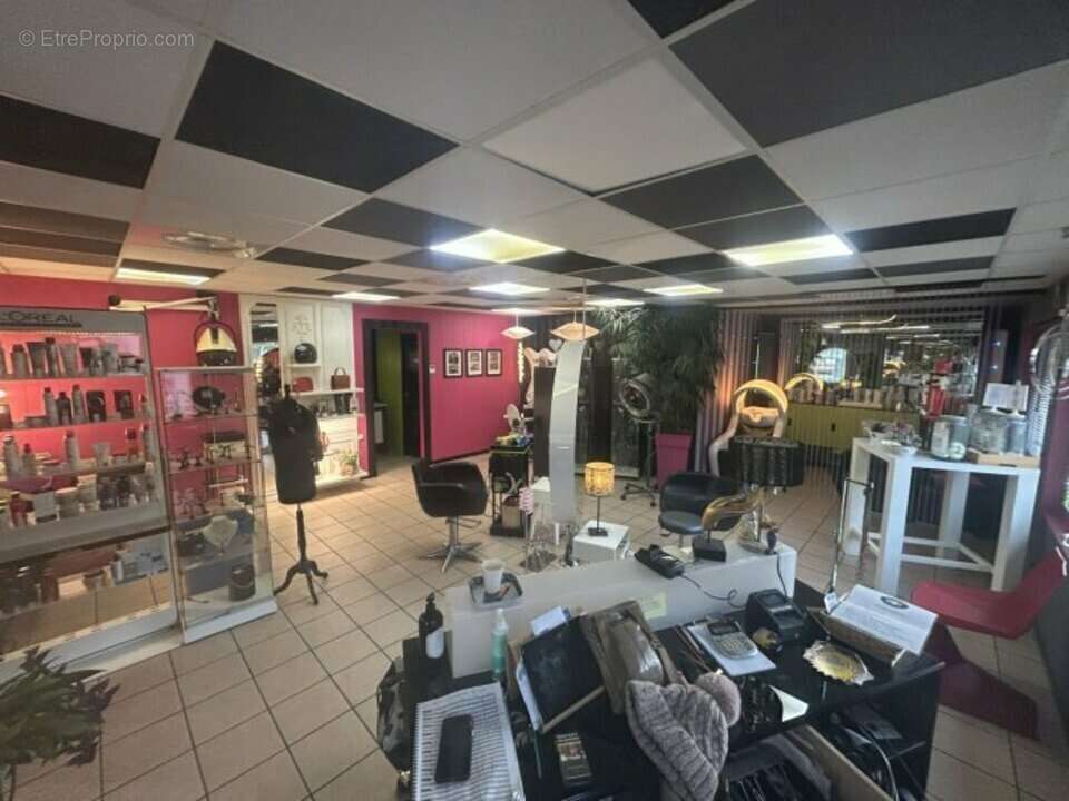 Commerce à SAINT-ALBAN-DE-MONTBEL