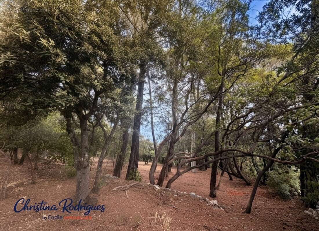 Terrain à LORGUES