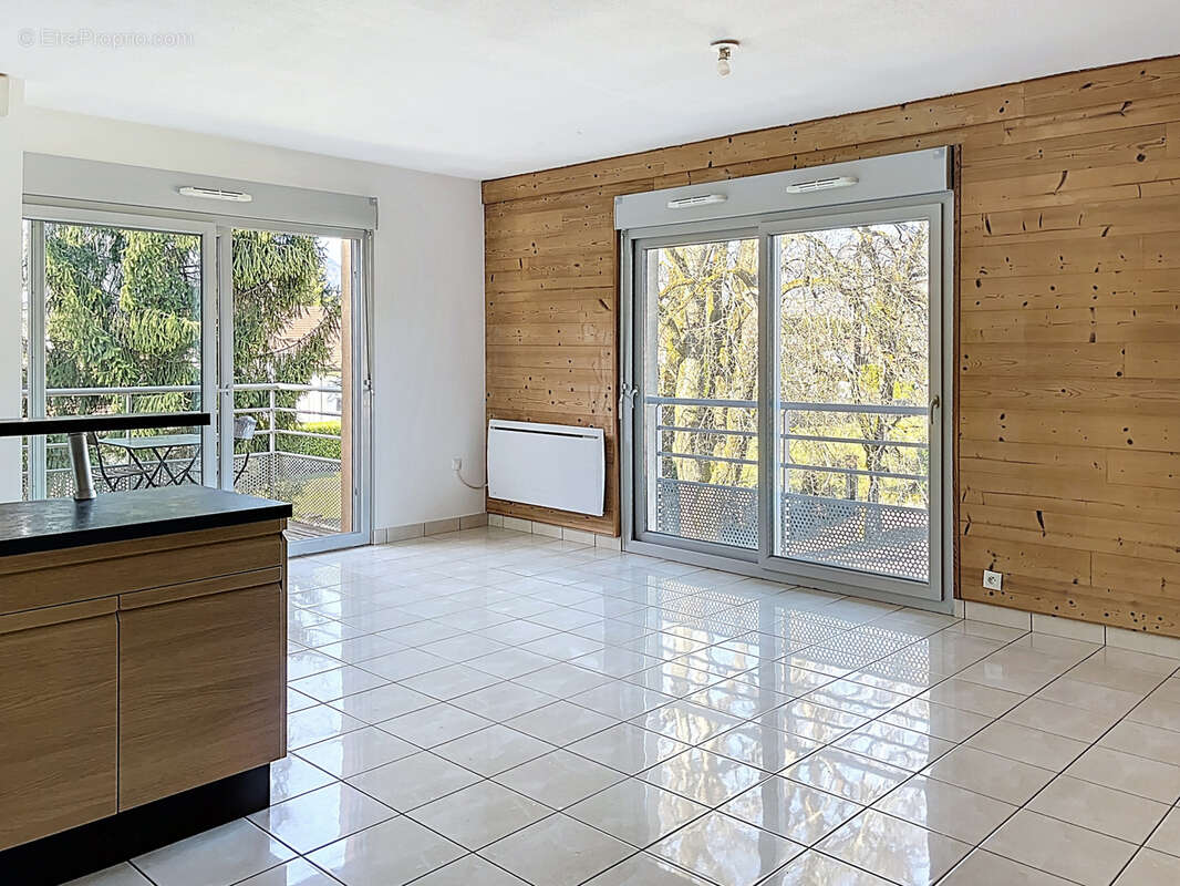 Appartement à SCIONZIER