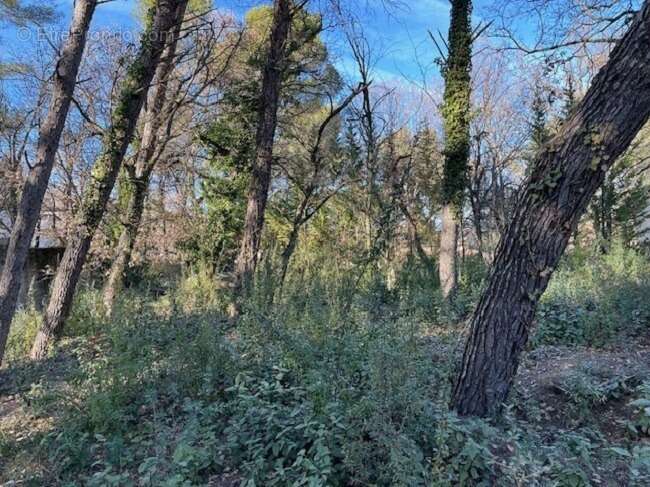 Terrain 800 m² à Greasque  - photo 4
