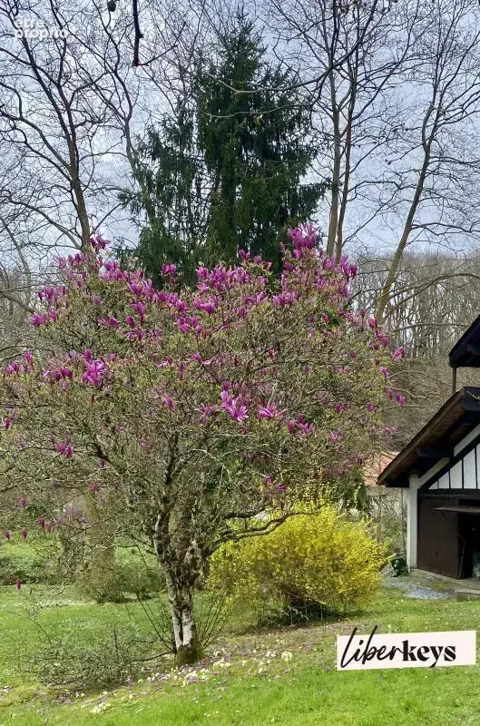 Grande maison basque sur parcelle de 15.000 m2 - photo 3
