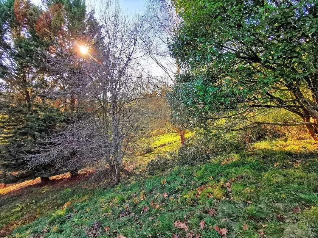 Maison à BAGNERES-DE-BIGORRE