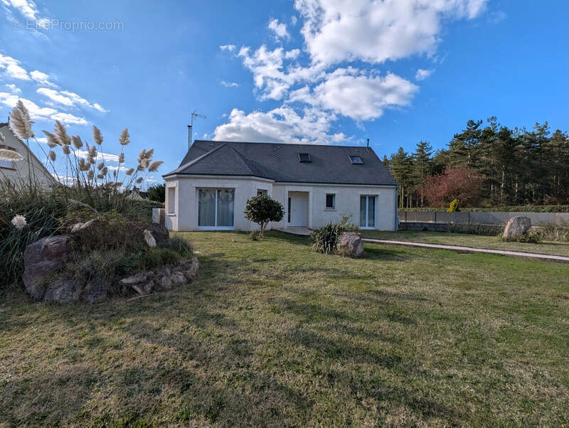 Maison à CHATEAUNEUF-SUR-LOIRE