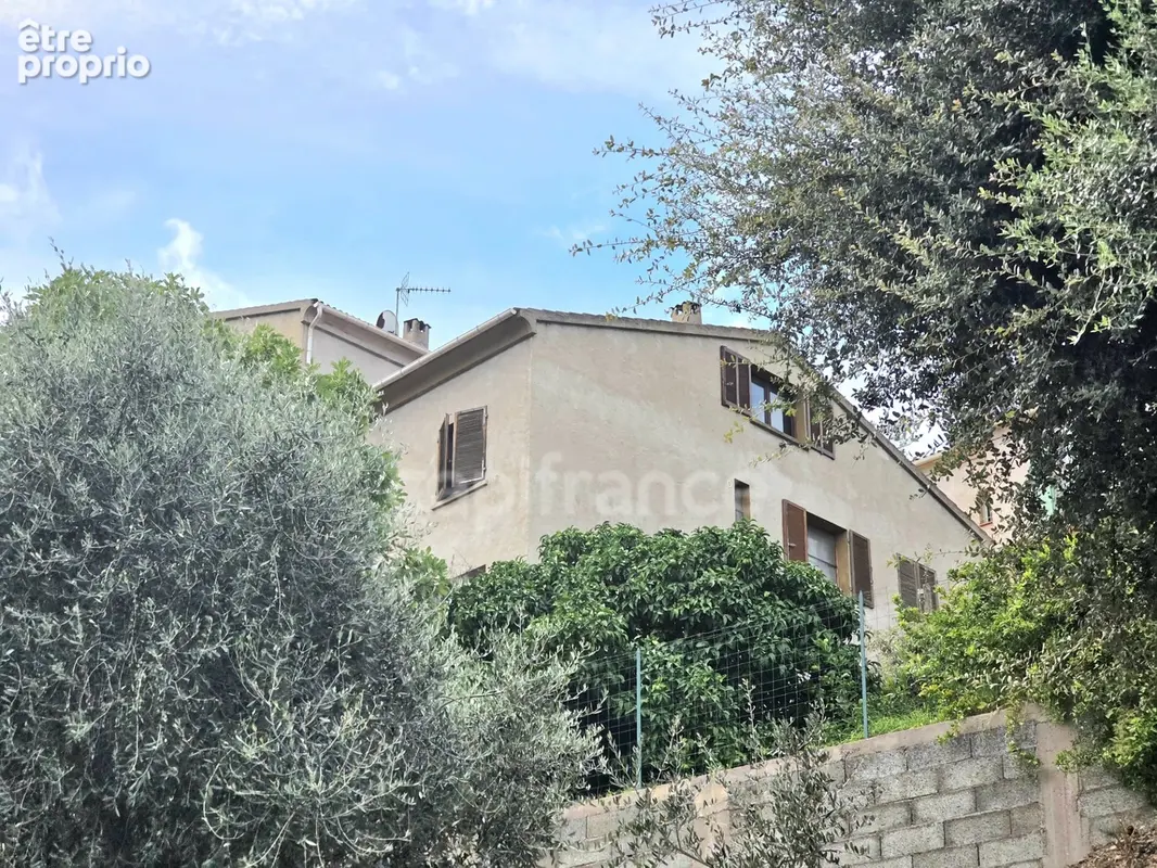 BORGO – Propriété à fort potentiel : 393 m² habitables + 2 980 m² de terrain – 395 000 € - photo 16