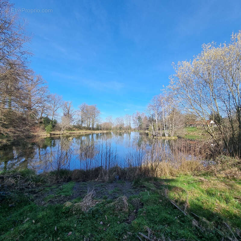 Maison de campagne avec étangs ! - photo 20