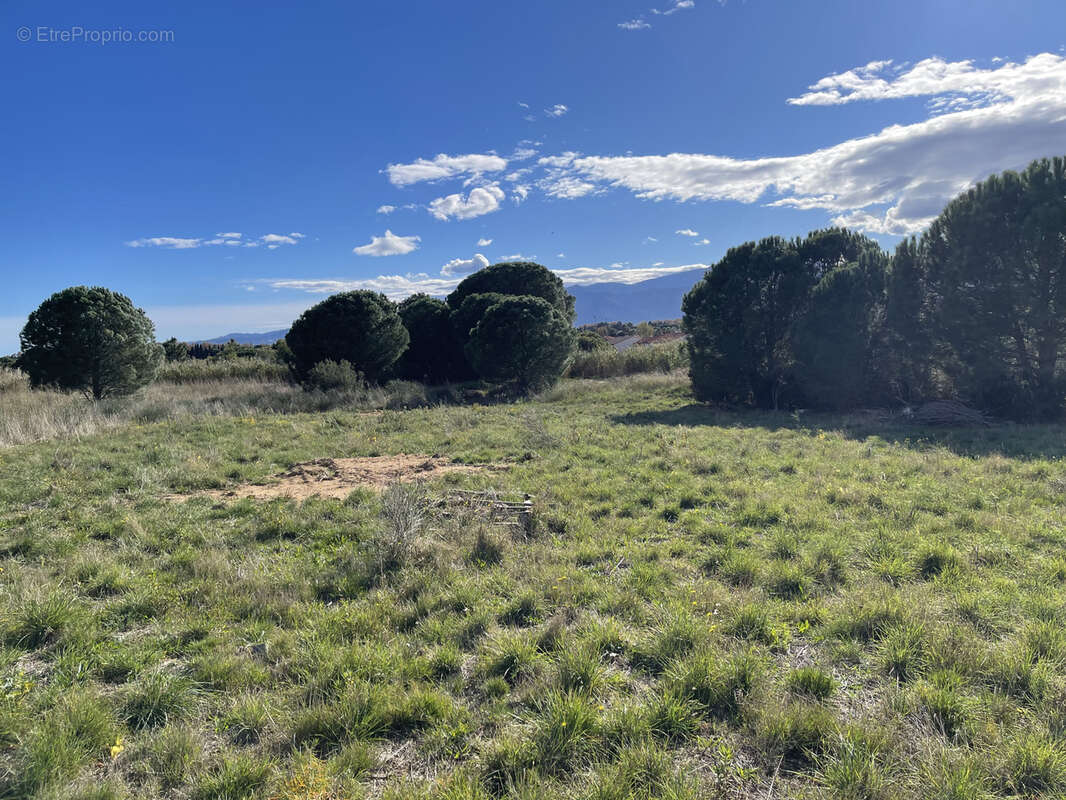 Terrain à LATOUR-BAS-ELNE