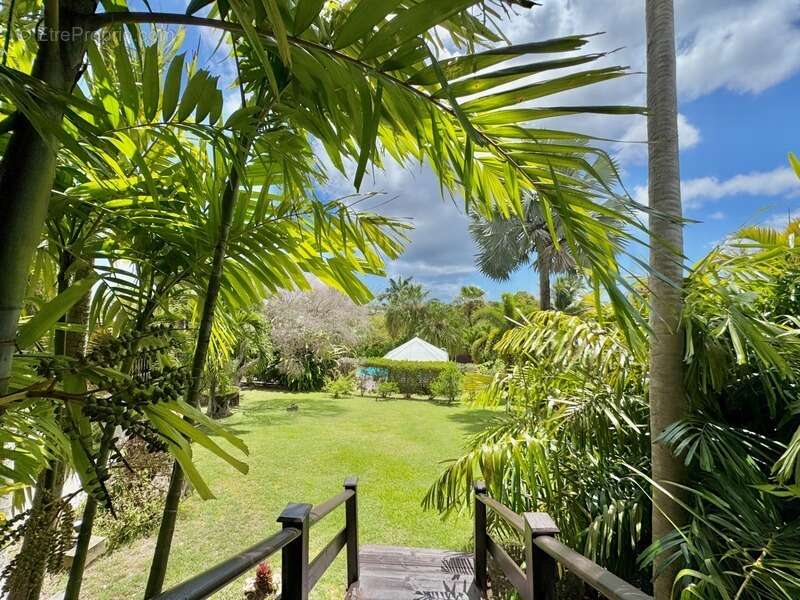 Maison à SAINT-FRANCOIS