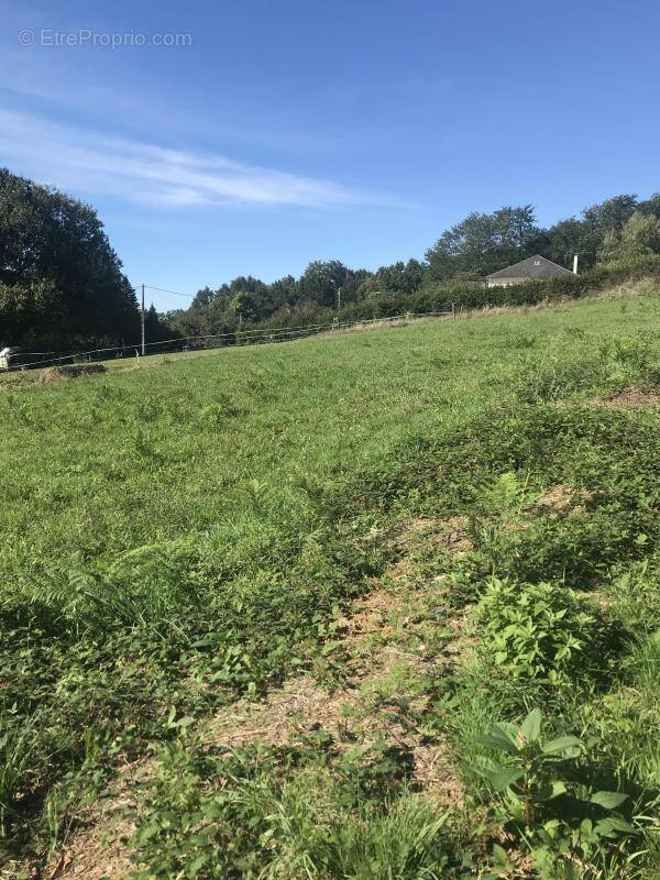 Terrain à SAINT-GERMAIN-LES-VERGNES
