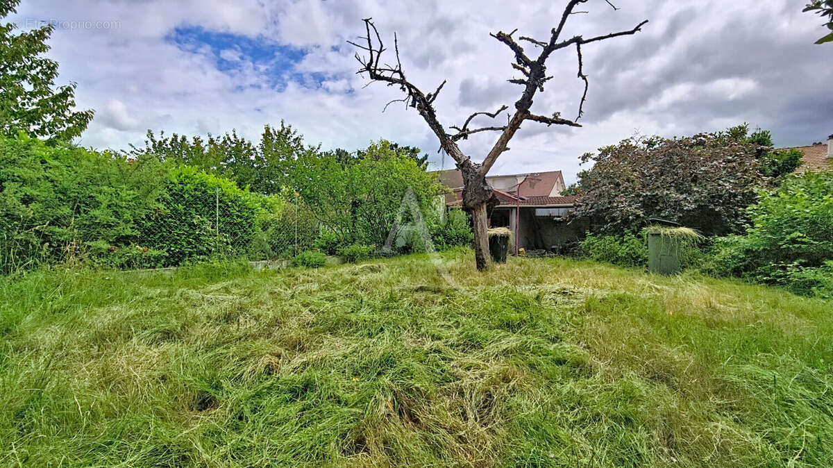 Maison à MASSY