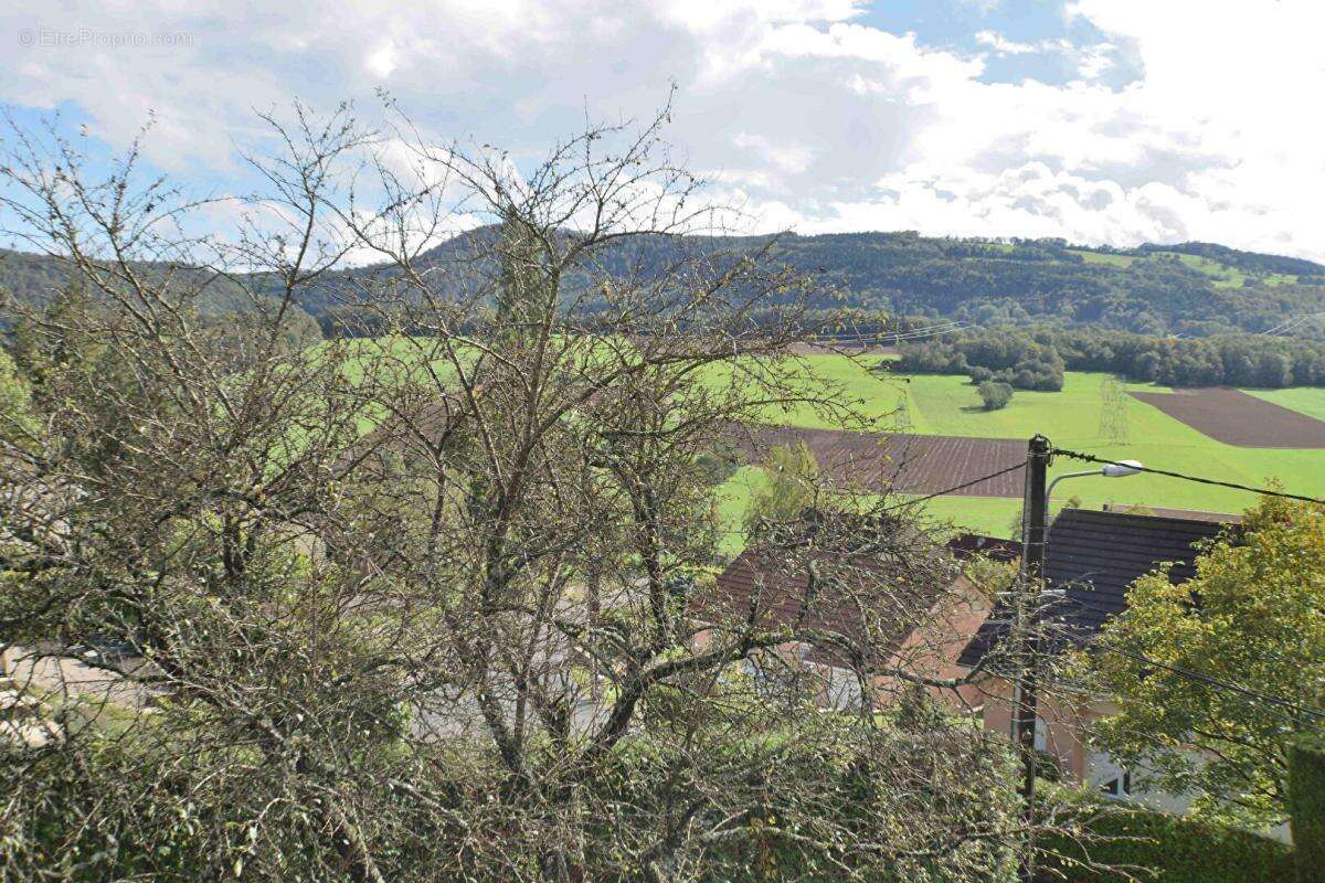 Maison à PONT-DE-ROIDE