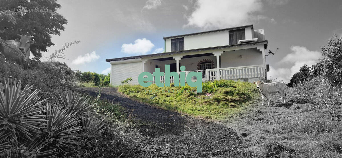 Façade - Maison à MORNE-A-L&#039;EAU