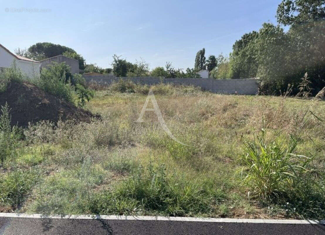 Terrain Saint Agnant 438 m2 - photo 2