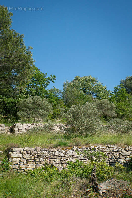Maison 700 m² à L'isle-Sur-La-Sorgue  - photo 7