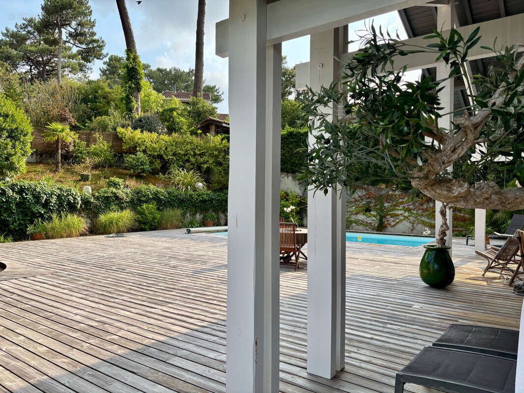Villa d’architecte perchée dans les arbres avec piscine et vue panoramique - photo 4