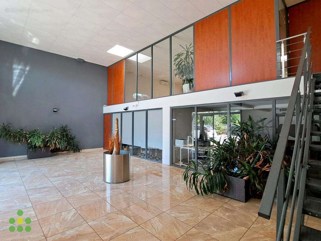 Commerce à MONTPELLIER