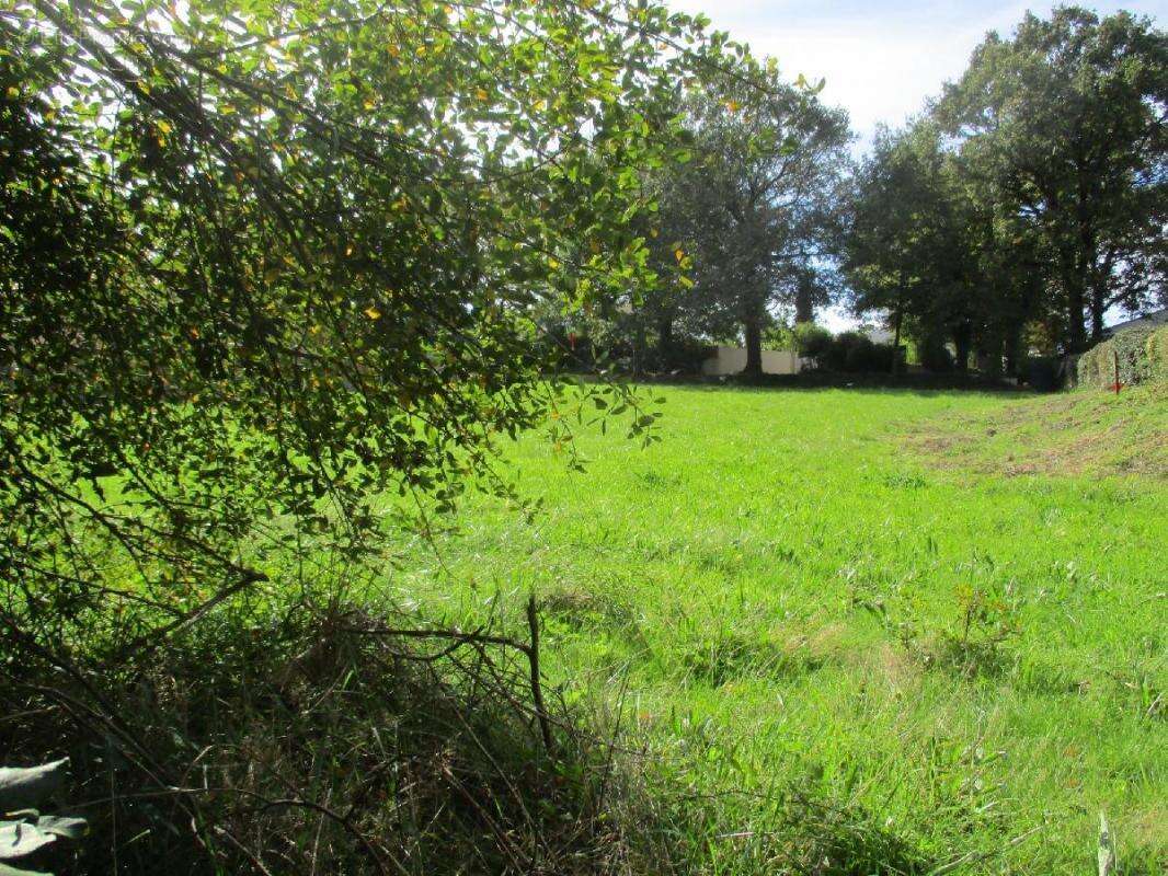 Terrain à SAINTE-FOY