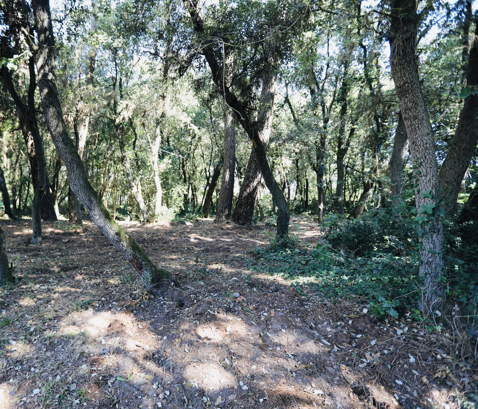 Terrain à LES SABLES-D&#039;OLONNE
