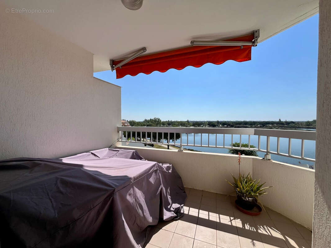 Magnifique T2 cabine de 32M2 entirement rénové avec vue sur le Lac Salonique - PORT CAMARGUE - photo 7