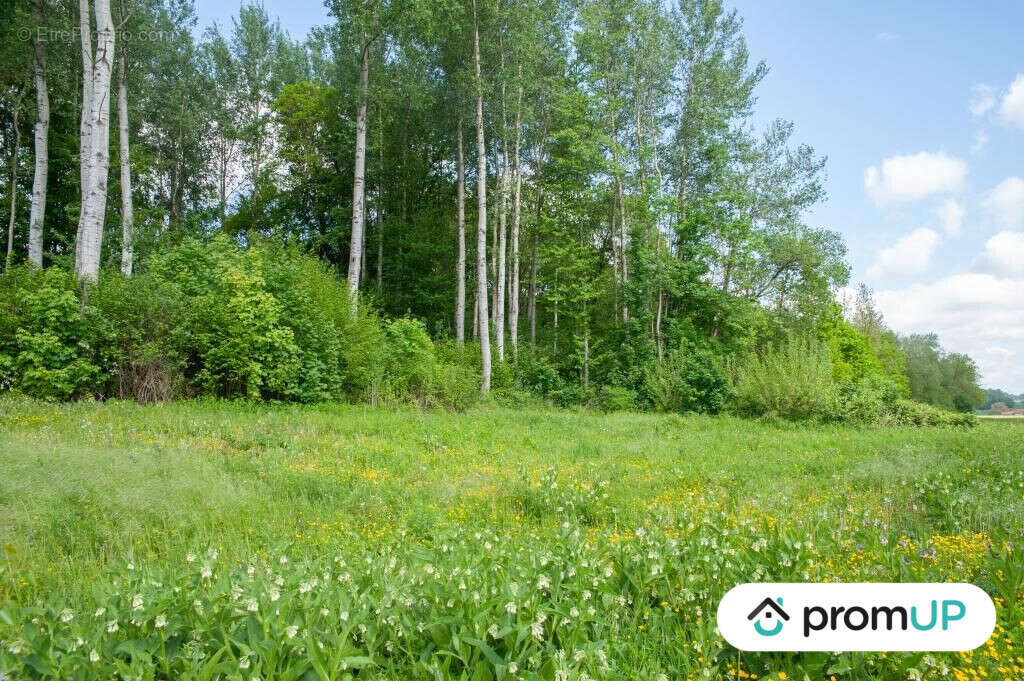 Terrain à CHIRY-OURSCAMP