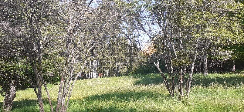 Terrain à SAINT-BONNET-EN-CHAMPSAUR