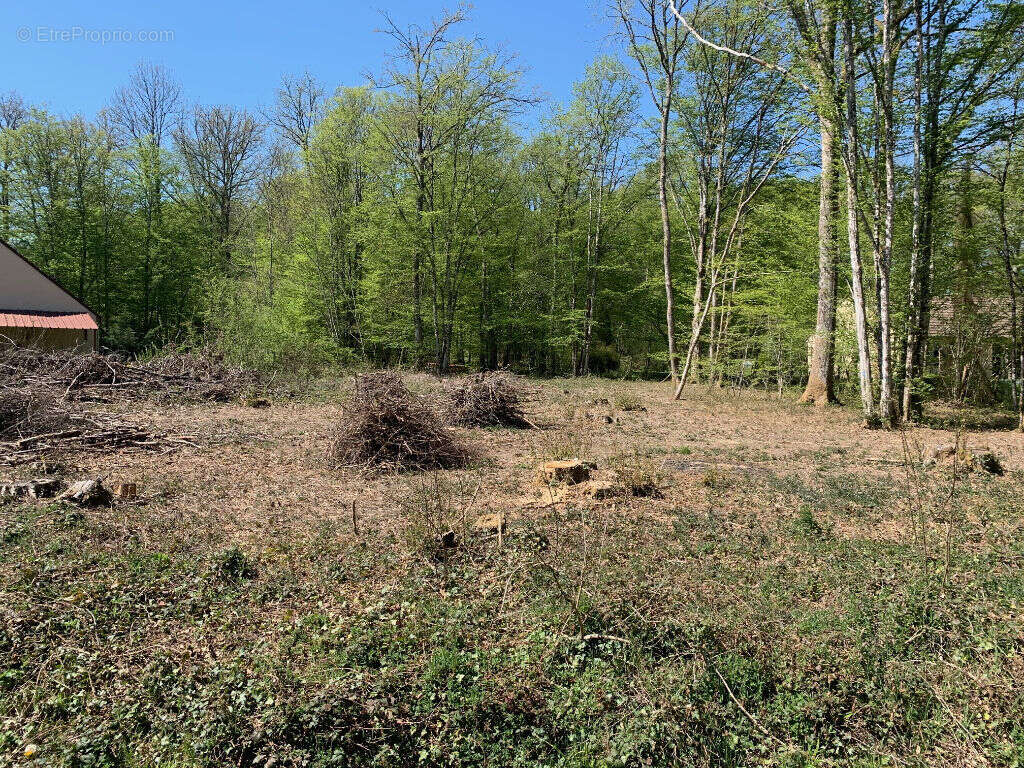 Terrain à SAINT-FARGEAU