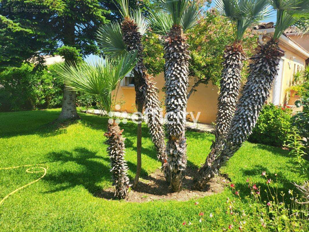 Maison à USCLAS-D'HERAULT