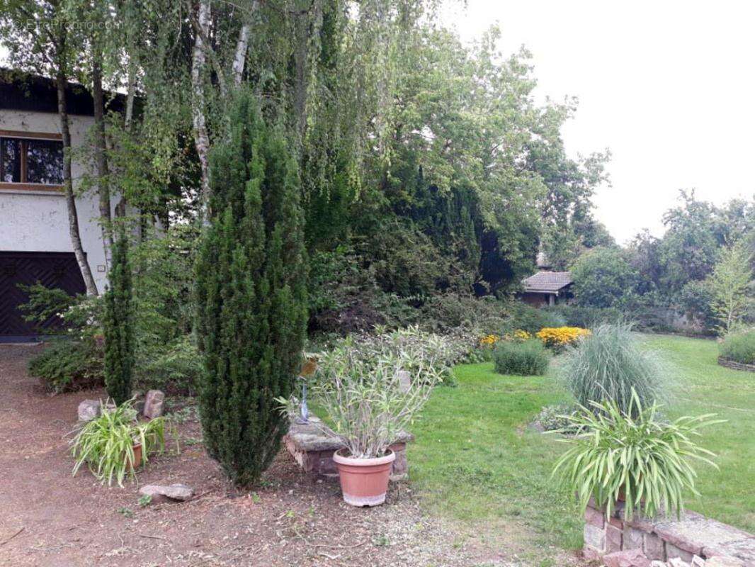 Maison 250 m² à Andolsheim  - photo 16