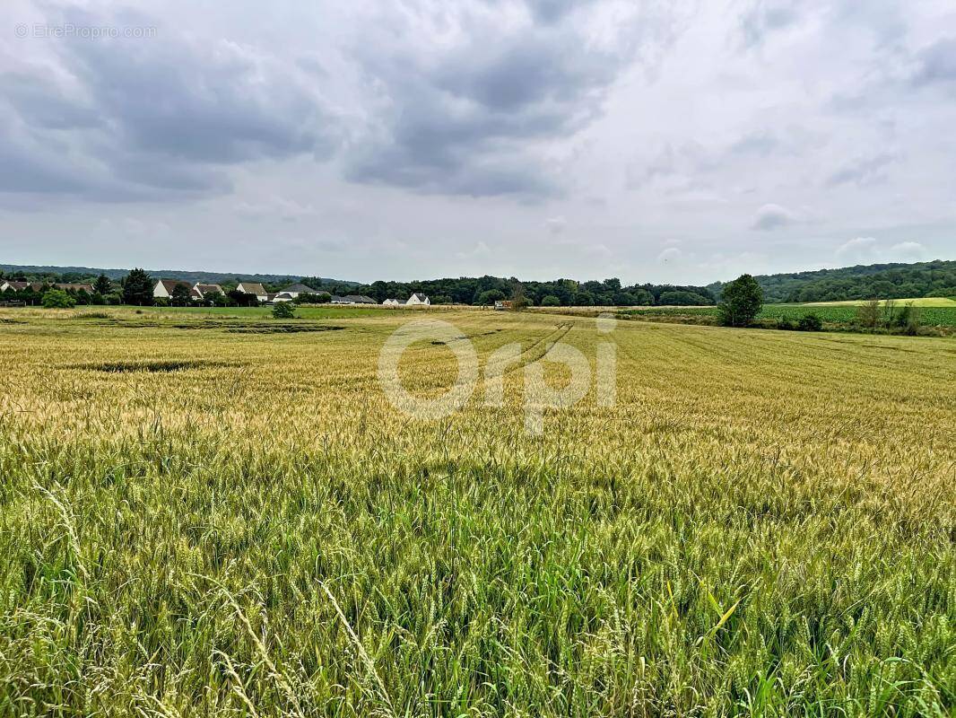 Terrain à SACY-LE-GRAND