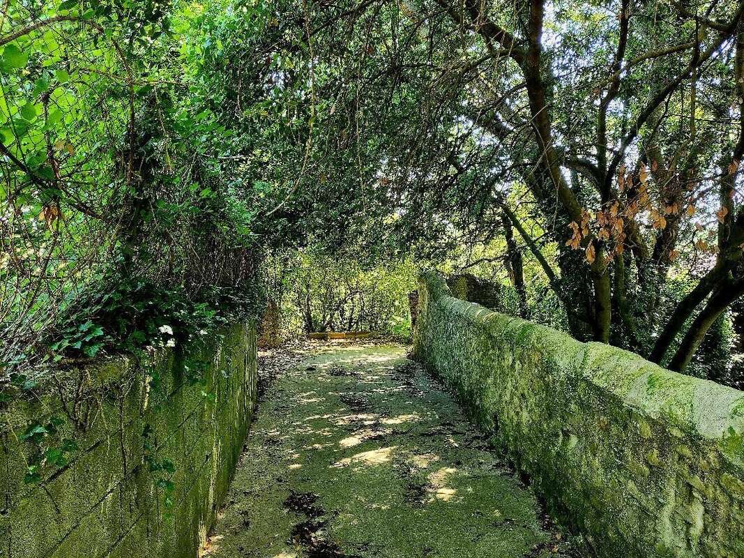 Terrain à CASSAGNOLES