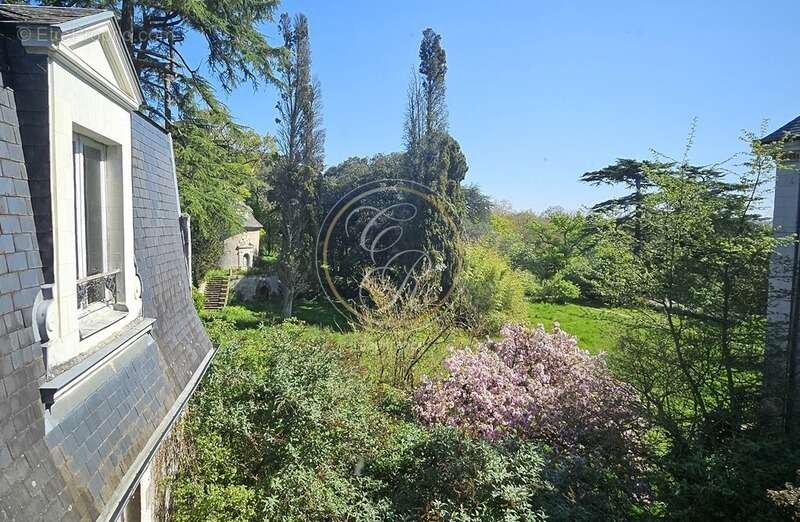 Maison à SAVENNIERES