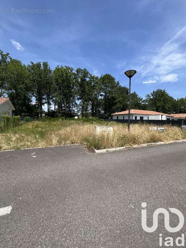 Photo 2 - Terrain à MAGESCQ