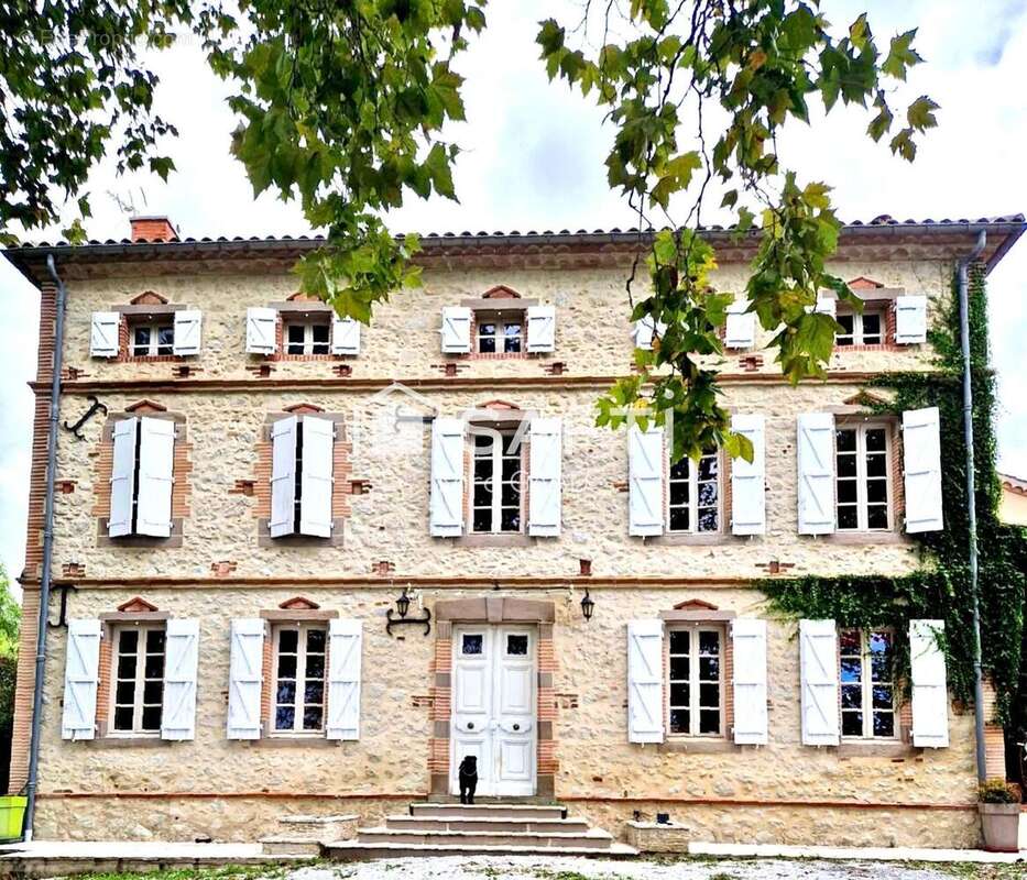 Photo 2 - Maison à GAILLAC