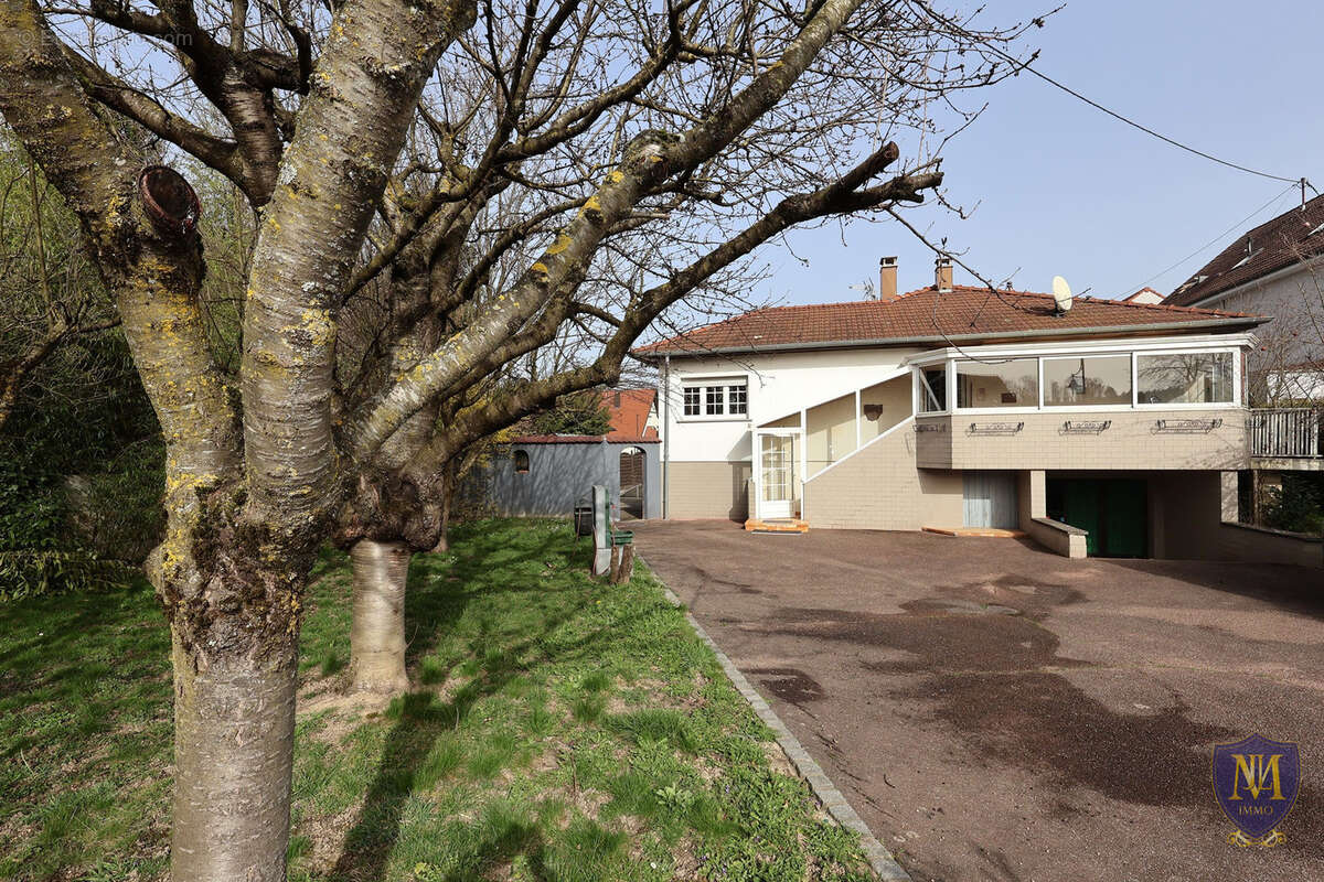 Maison à BARTENHEIM