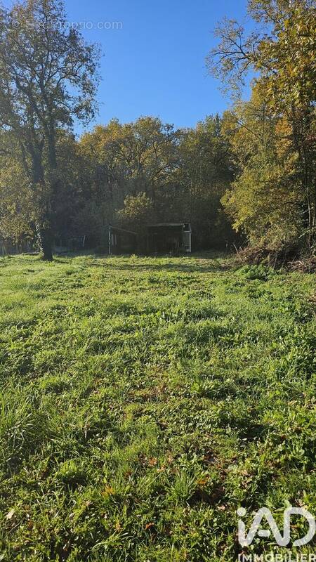 Photo 1 - Terrain à SAUJON