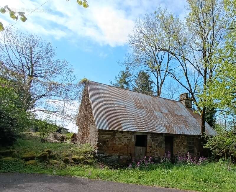 Maison à SAINT-VINCENT-DE-SALERS