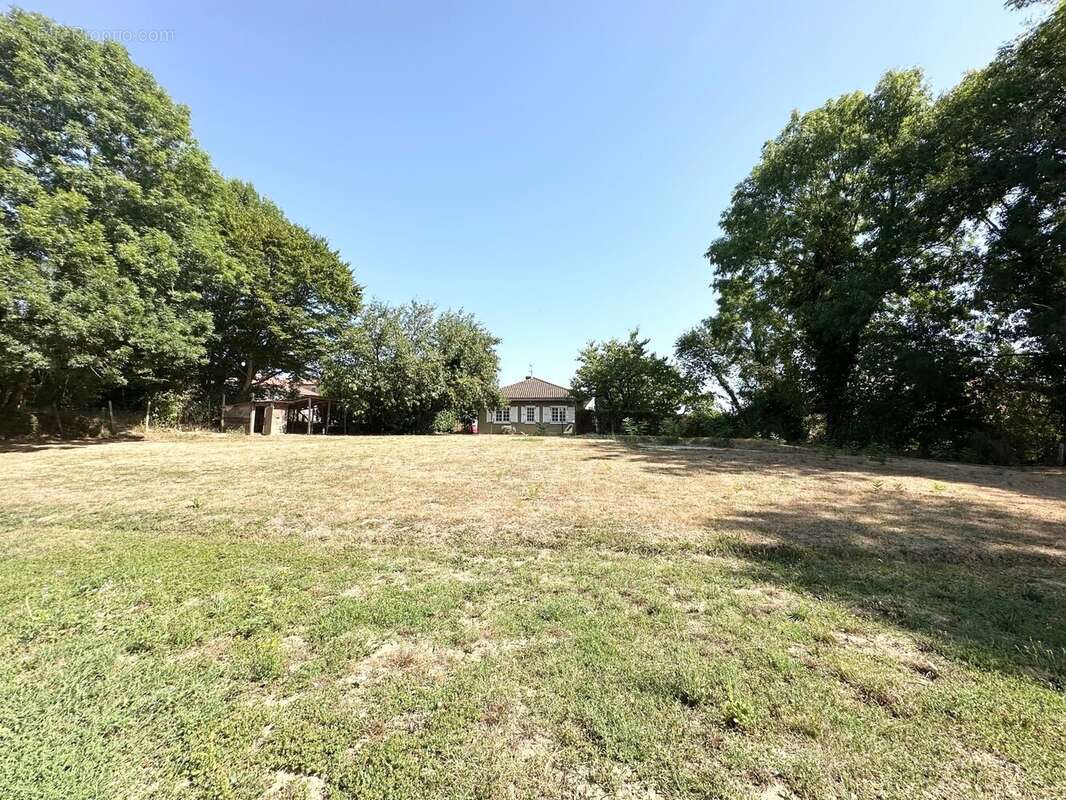 Terrain à bâtir de 1 257 m²