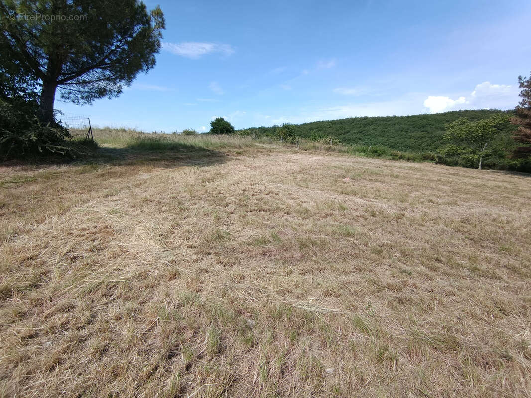 Terrain à LAVILLEDIEU