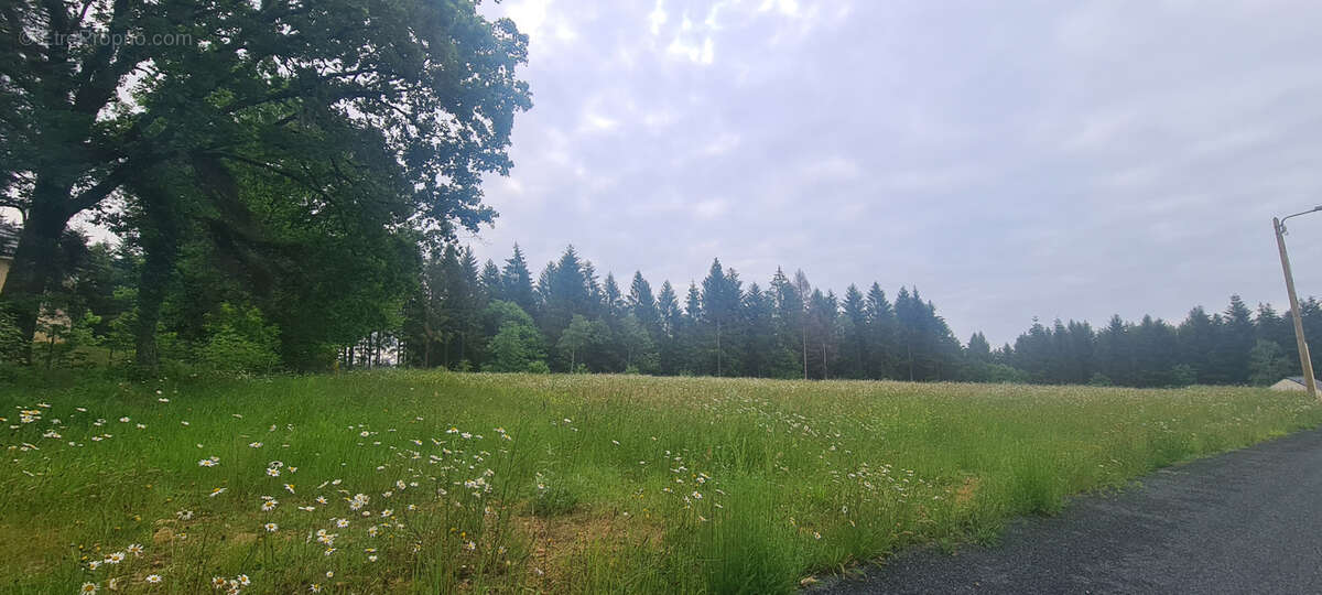 Terrain Constructible entre Brive et Tulle - photo 4