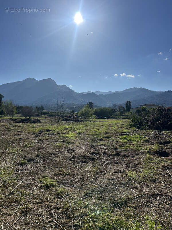 Terrain à SANTA-LUCIA-DI-MORIANI