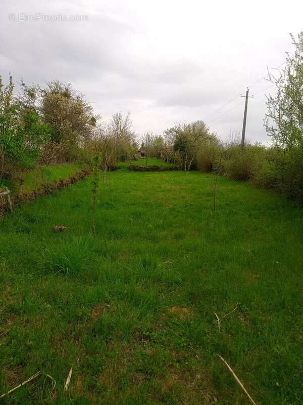 Maison à LAROQUE-D'OLMES